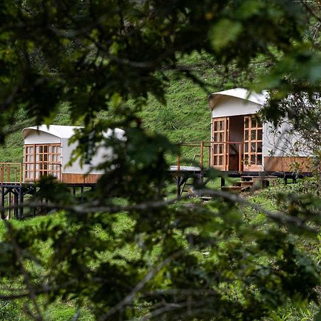 Birdglamping Los Arboles Glamping Hotel 살렌토 외부 사진