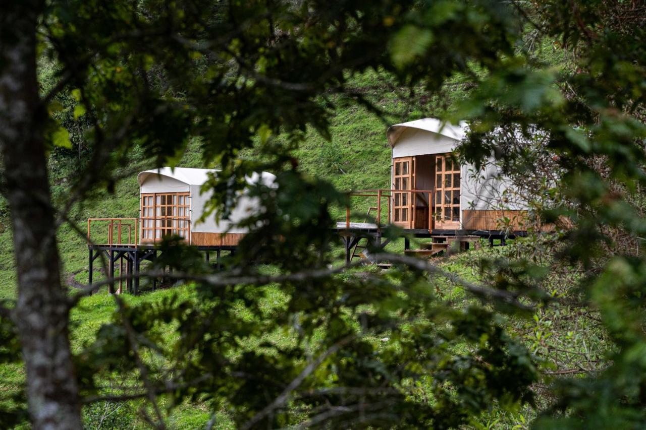 Birdglamping Los Arboles Glamping Hotel 살렌토 외부 사진