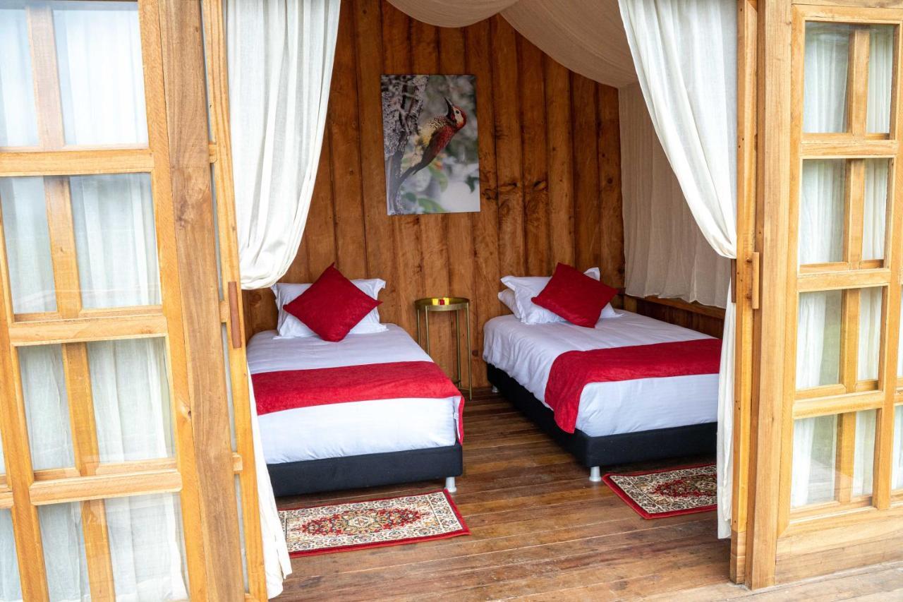 Birdglamping Los Arboles Glamping Hotel 살렌토 외부 사진